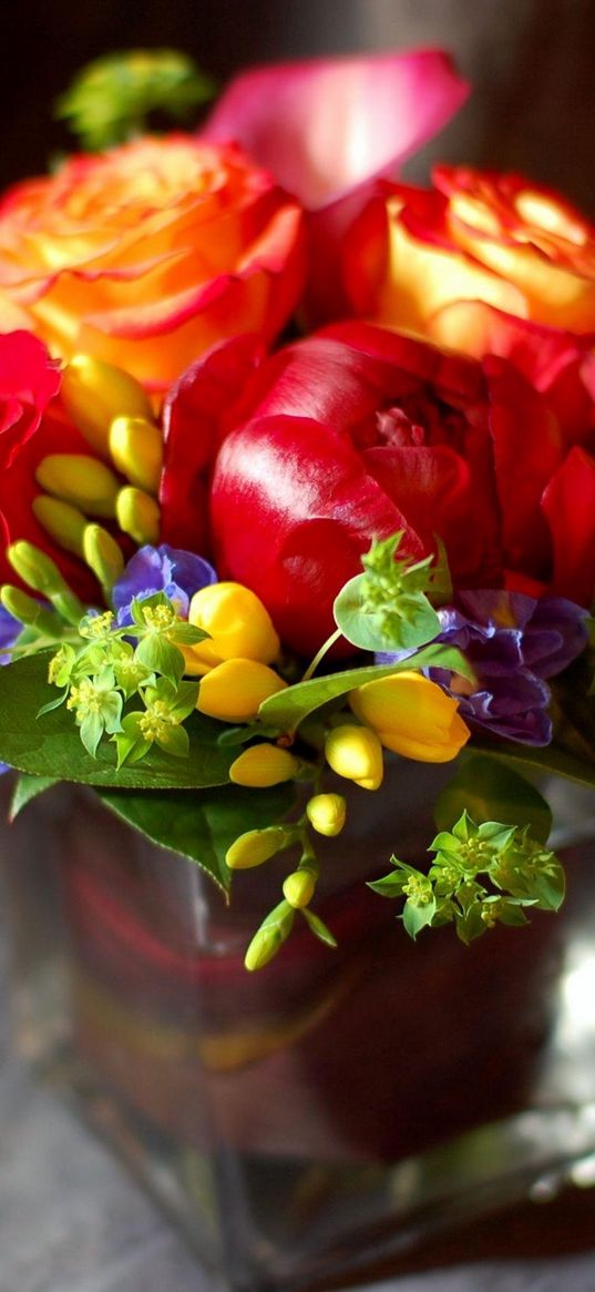 roses, flowers, freesia, bouquet, composition, glass