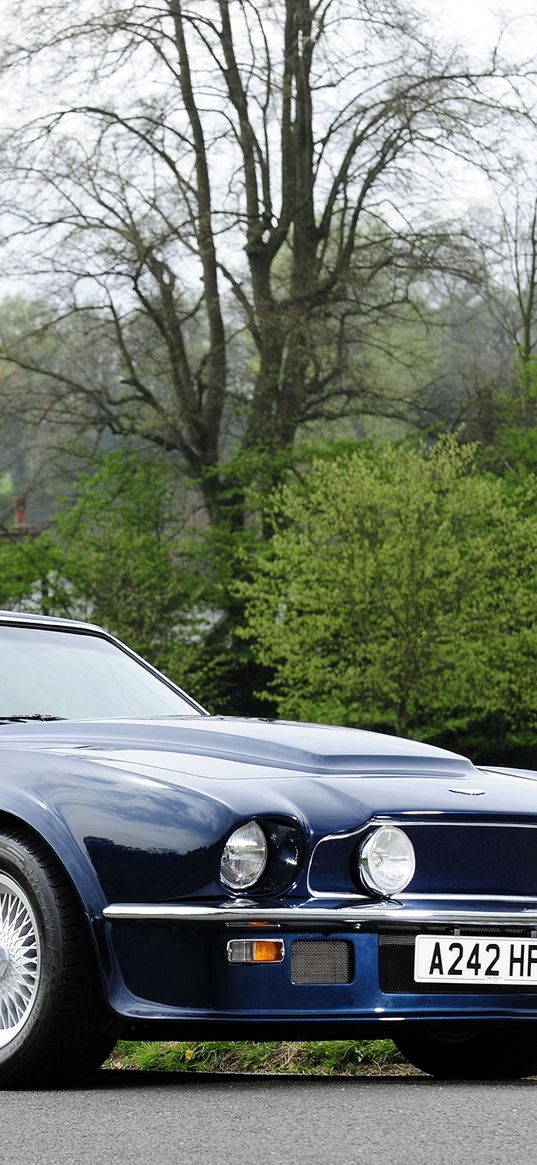 aston martin, v8, vantage, 1977, blue, side view, retro, auto