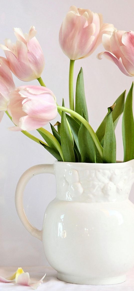 tulips, flowers, petals, jug, bottle