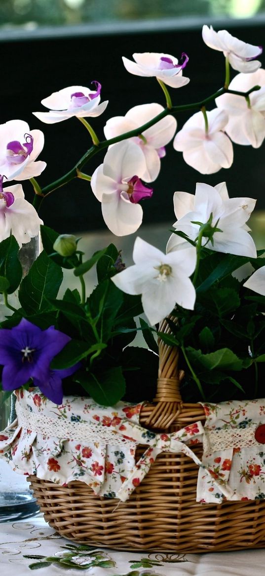 orchids, bells, hibiscus, baskets, cloth, glass