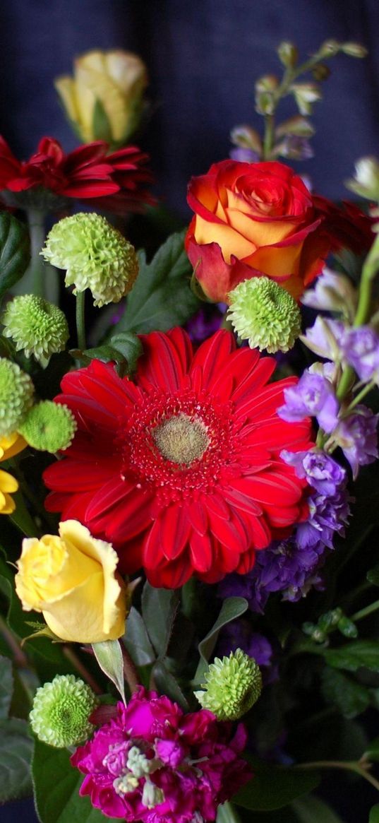 gerbera, roses, chrysanthemums, gillyflower, herbs, flower, song