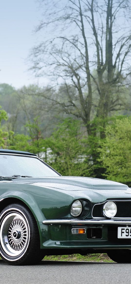 aston martin, v8, vantage, 1984, green, side view, style, retro, trees