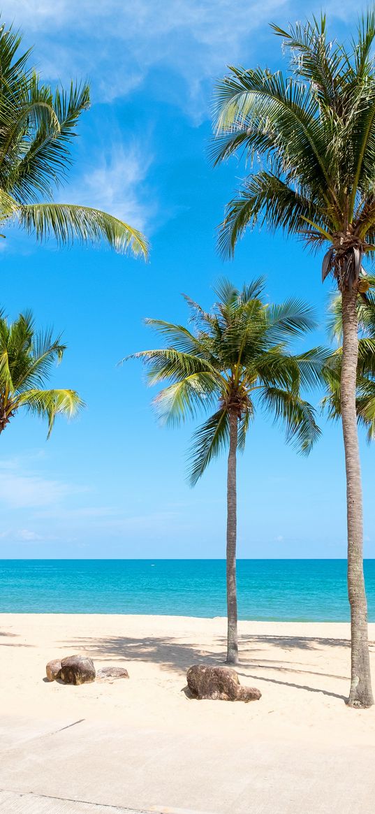 sea, palm trees, beach, hammock, blue sky, resort, nature