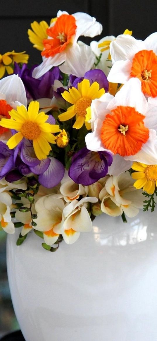 daffodils, freesia, flowers, vase, flower, song