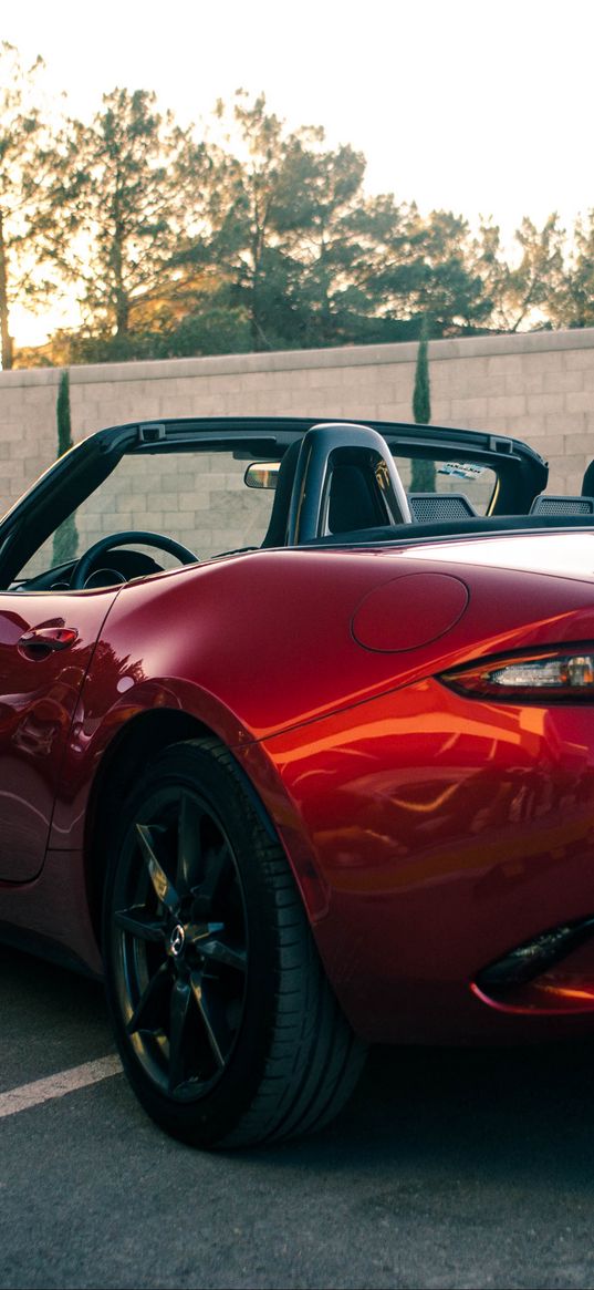 mazda mx-5 miata, mazda, car, red, back view