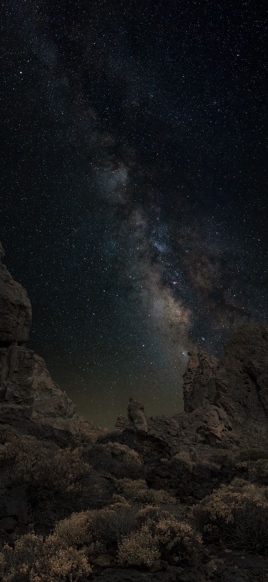 rocks, milky way, bushes, night, dark