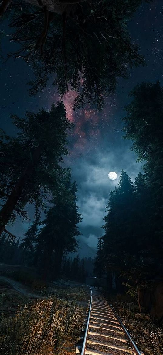 railway, christmas trees, forest, moon, clouds, sky, stars, night