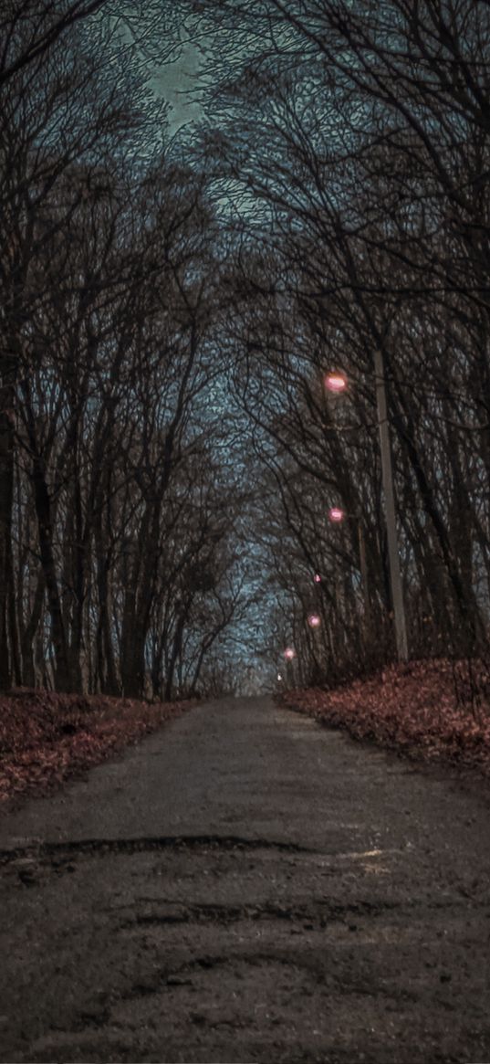 path, lanterns, leaves, trees, park, evening, autumn