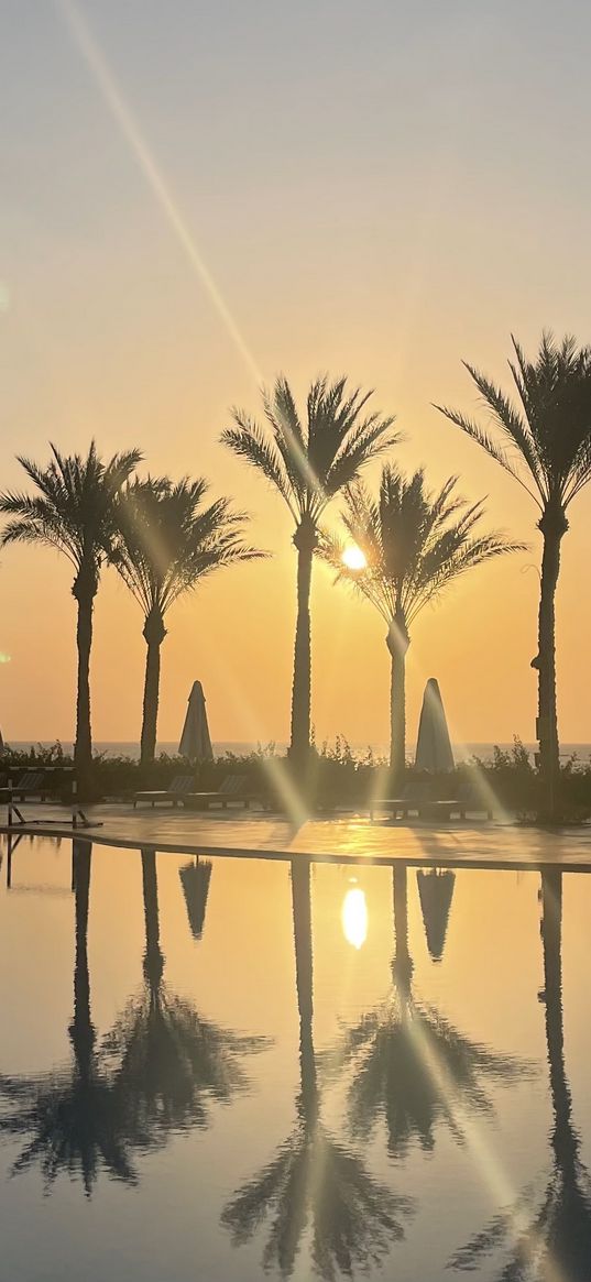 swimming pool, umbrellas, palm trees, sunset, sun rays