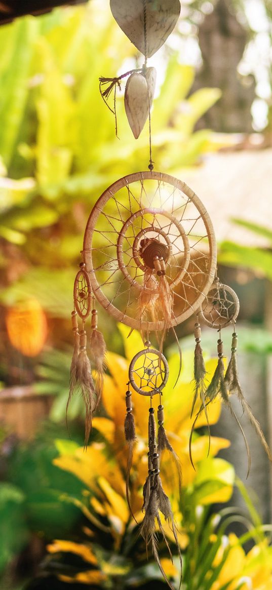 dream catcher, amulet, flowers, yard