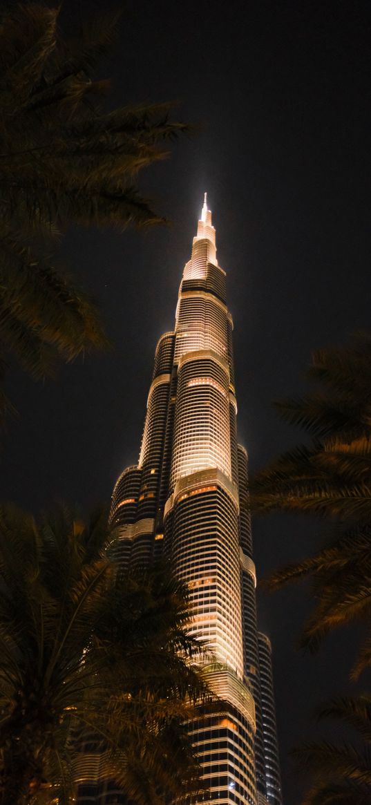 burj khalifa, dubai, arab emirates, skyscraper, light, palm trees, night