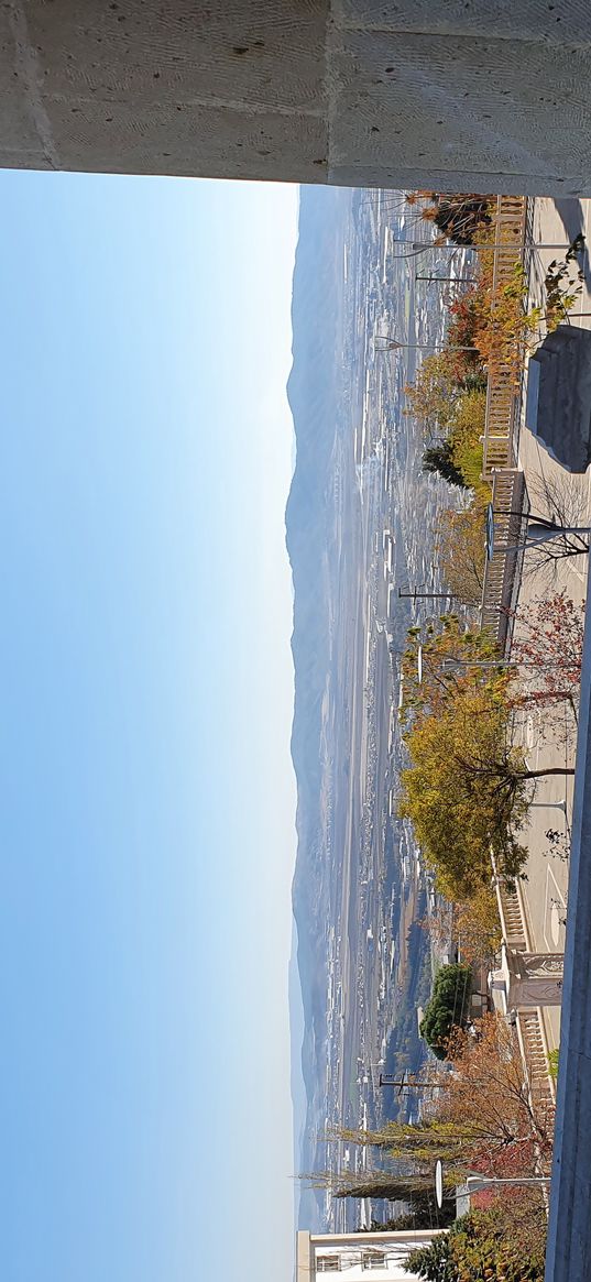 turkey, mountain, old structre, mosque, garden, tree, far, bird, city