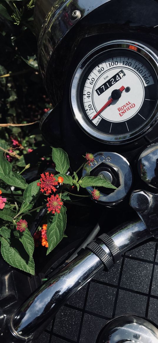 motorcycle, bike, speedometer, wild flowers