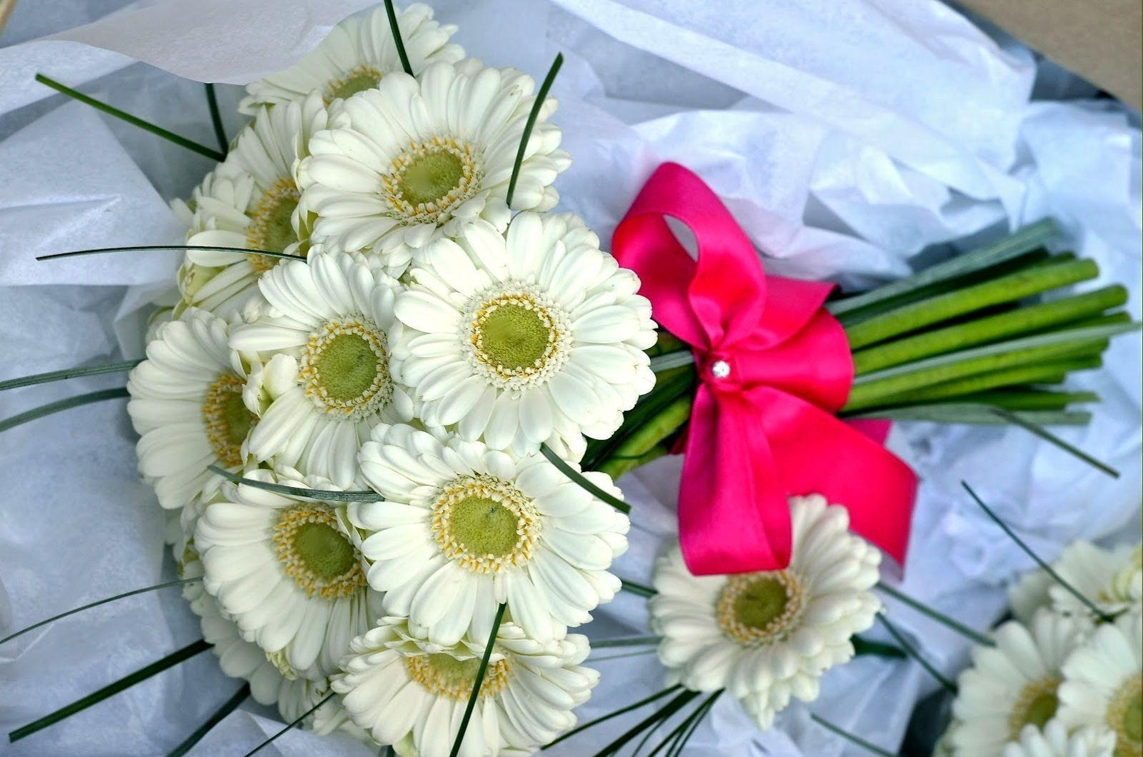 gerbera, flowers, bouquet, white, bow, beautifully