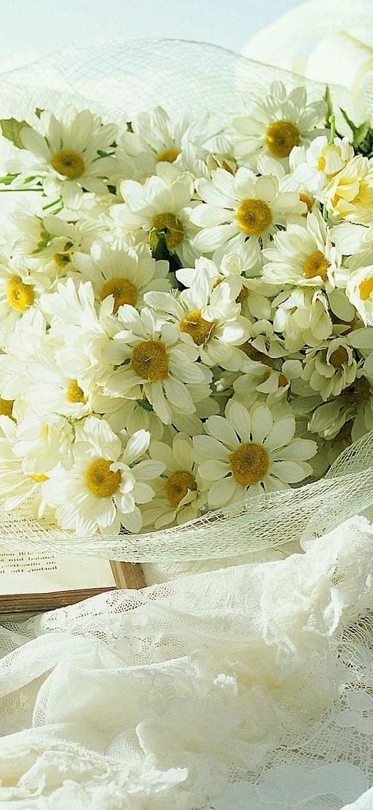 chamomile, flowers, bouquet, clock, book, envelope, romance