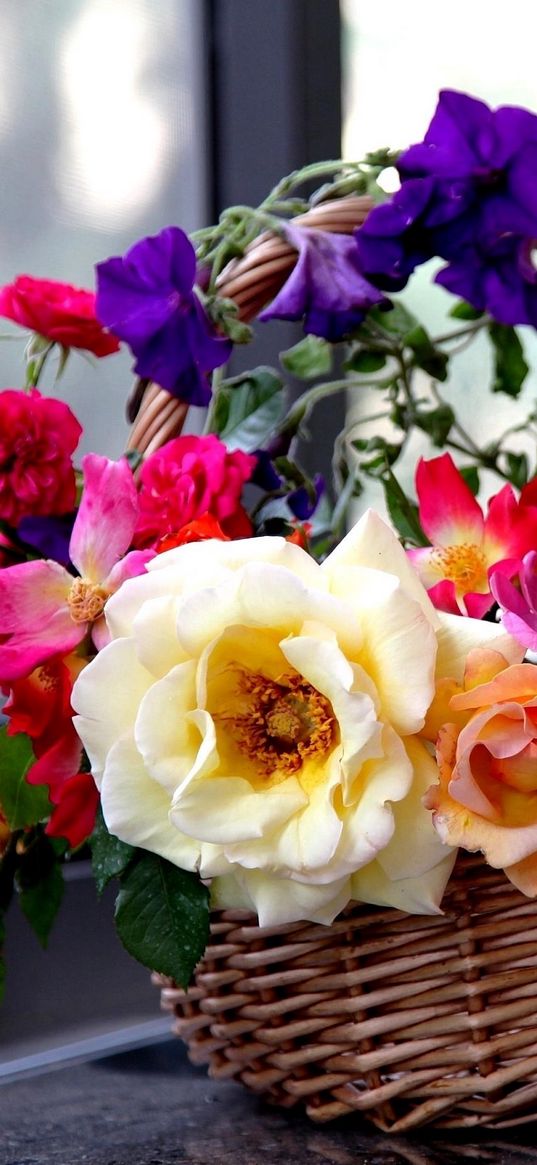 rose, garden, petunia, flowers, basket, composition