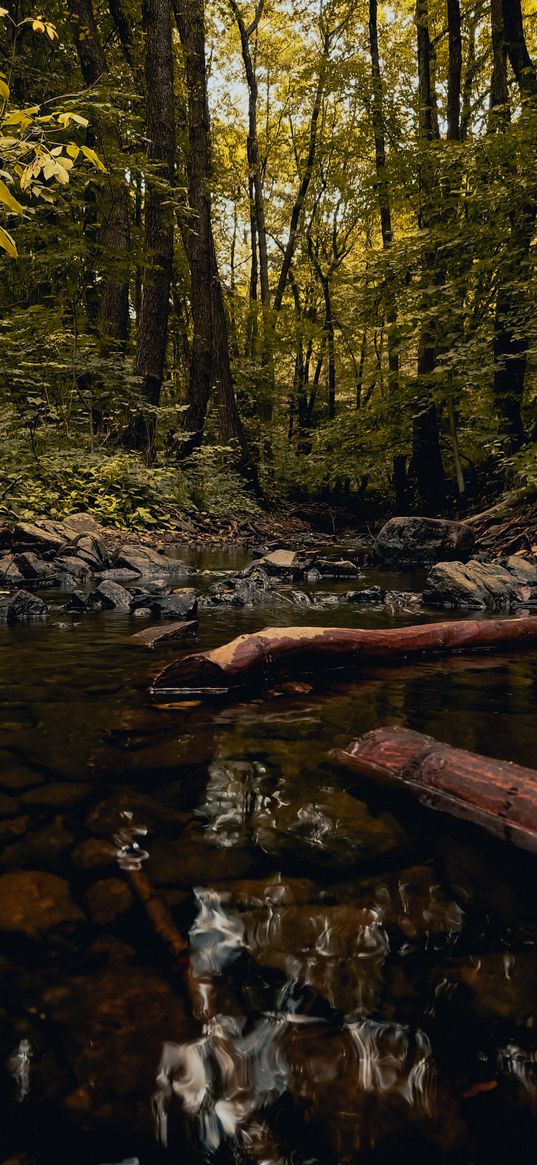 stream, logs, stones, trees, forest, nature