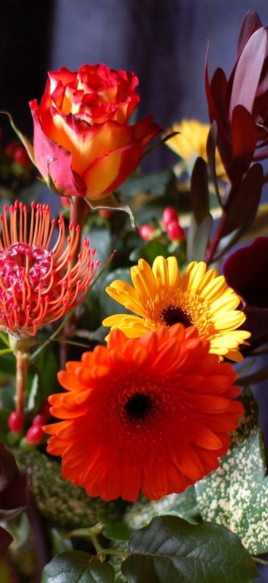 gerbera, roses, calla lilies, flowers, bouquets, composition, leaves