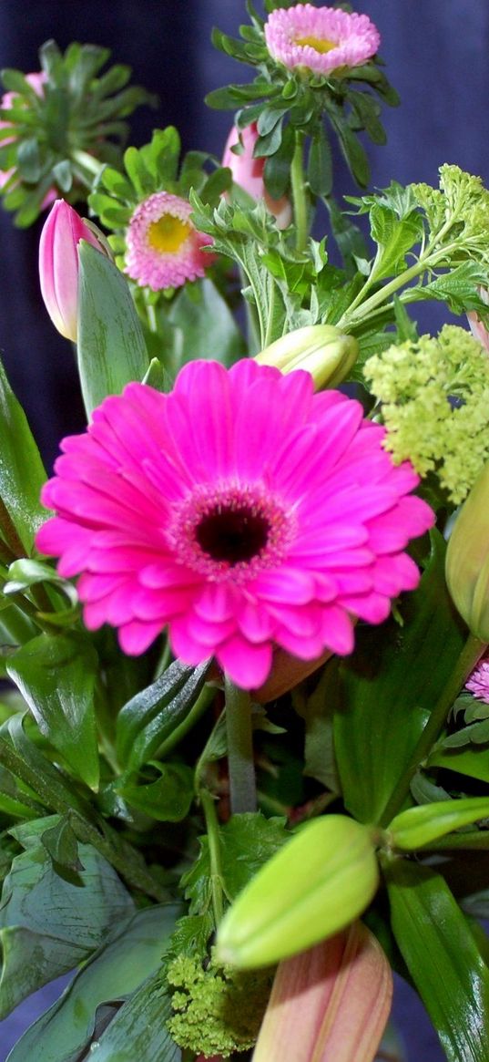 gerbera, tulips, flower, buds, bouquet, herb, composition