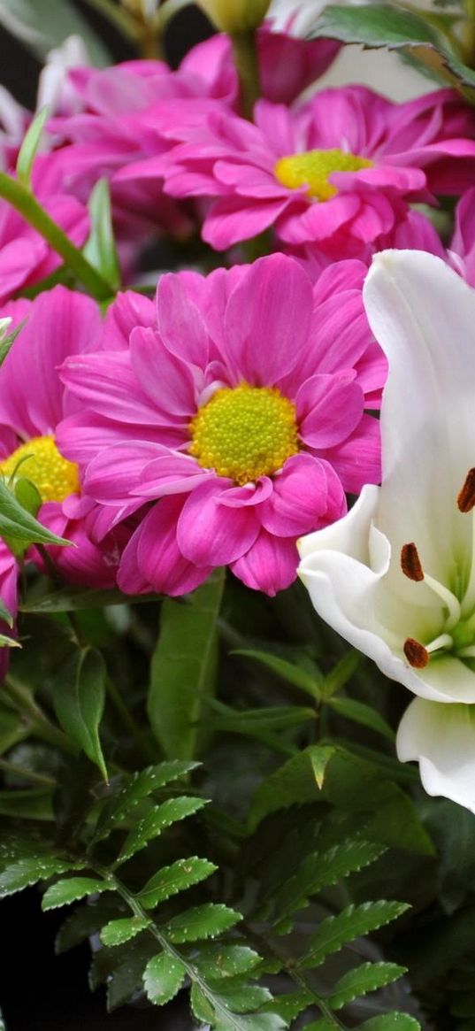 lily flowers, bouquets, ferns, herbs, close-up, composition