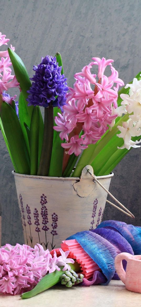 hyacinths, flower, spring, bucket, bottle, watering can, still life