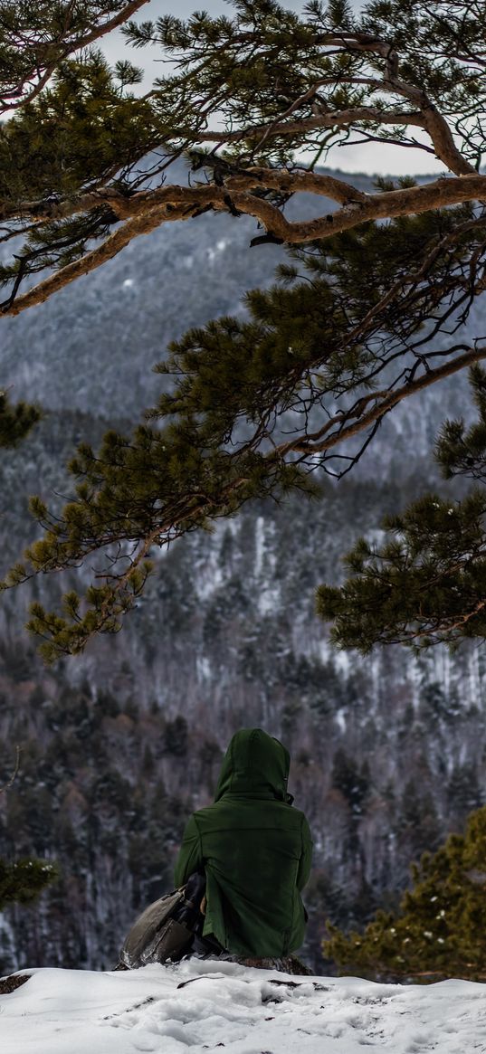 hike, nature, snow, mountains