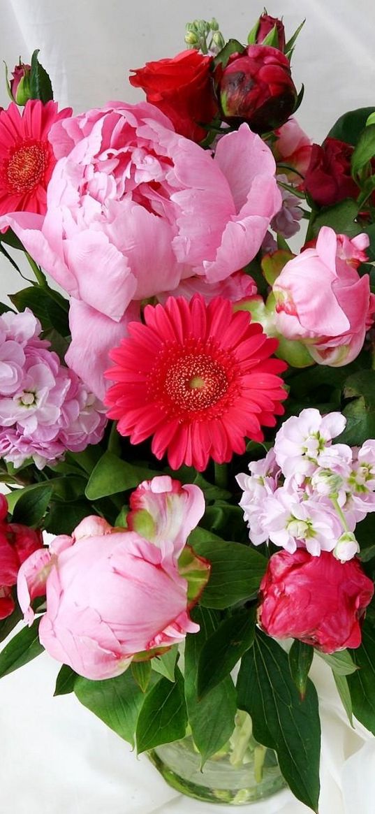 gerbera, roses, peonies, gillyflower, mattioli, herbs, flower, vase