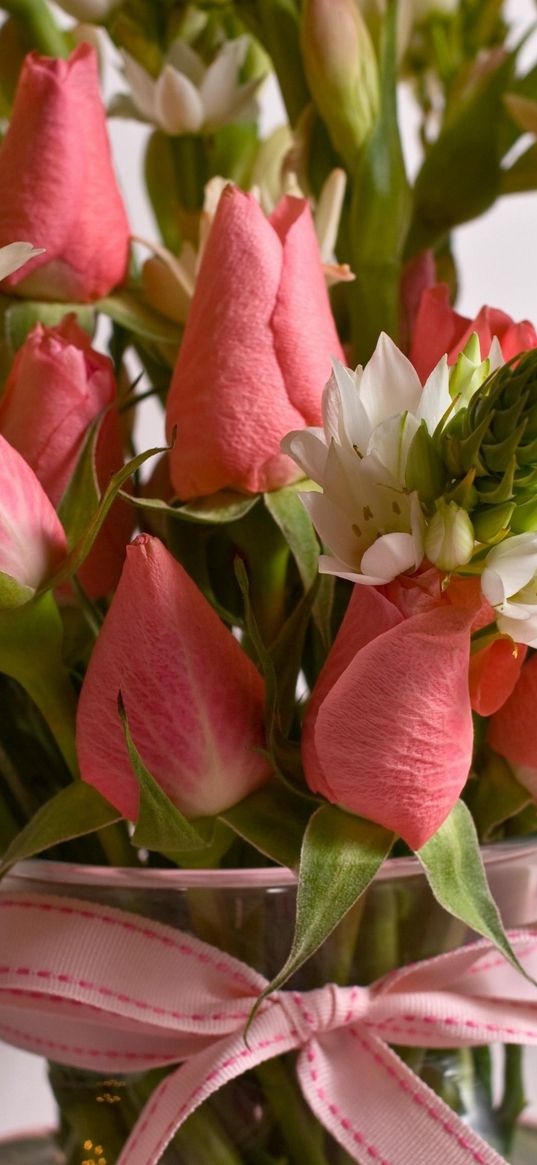 roses, flowers, buds, flower, bow, vase