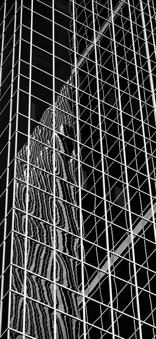 facade, building, architecture, mirrored, reflection, black and white