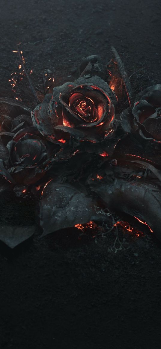 roses, flowers, steel, fire