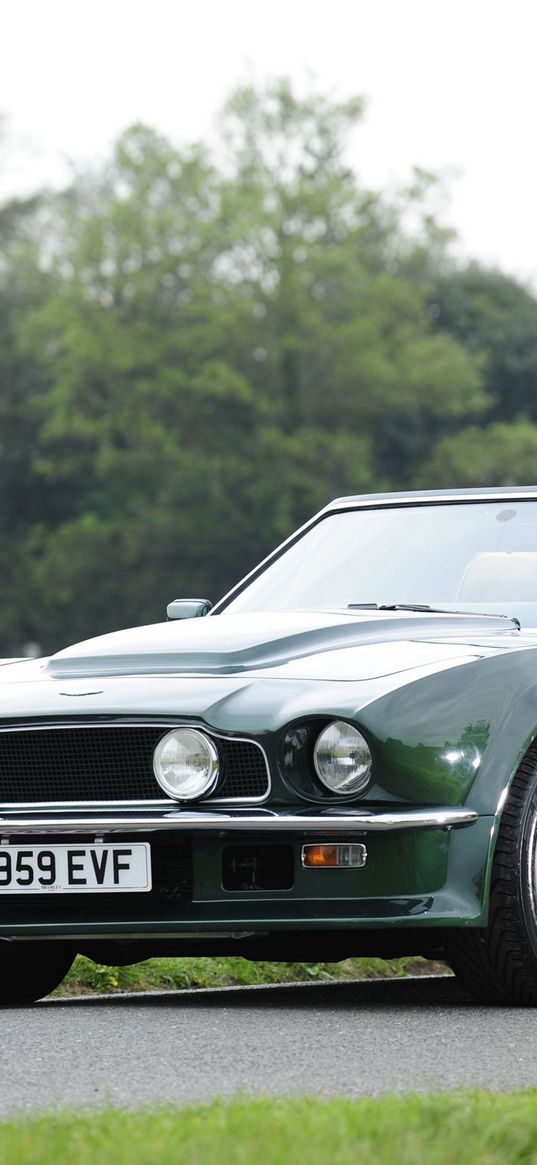 aston martin, v8, vantage, 1984, green, side view, cabriolet, trees