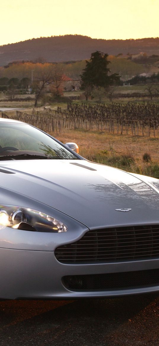 aston martin, v8, vantage, 2005, silver, front view, style, nature