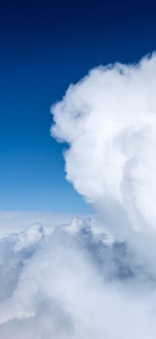 clouds, thick, flying, blue sky, nature