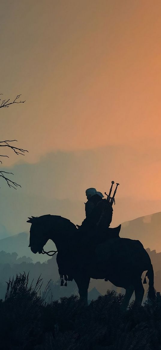 geralt, the witcher, game, warrior, horse, nature, fog, sunset, art