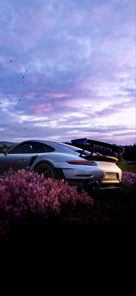 porsche 911, porsche, car, flowers, clouds, sky