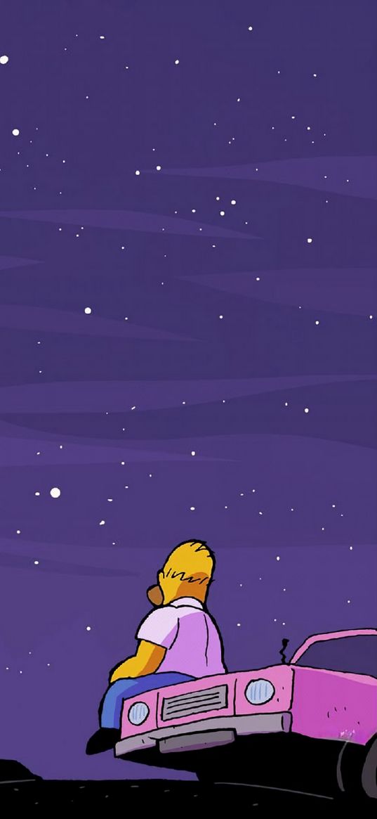 homer, the simpsons, animated series, car, sky, stars, art