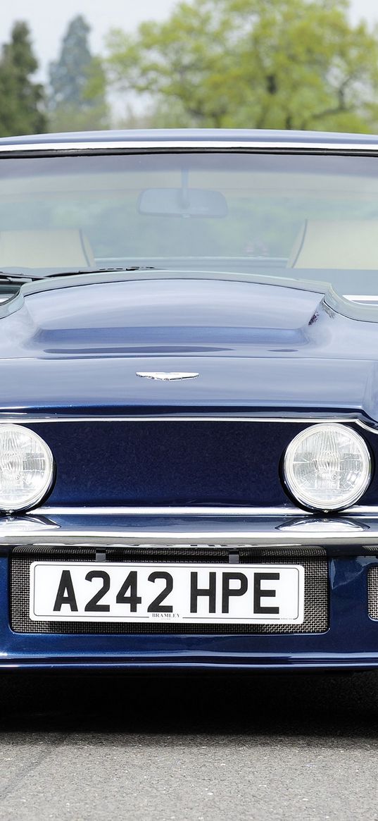 aston martin, v8, vantage, 1977, blue, front view, cars, trees