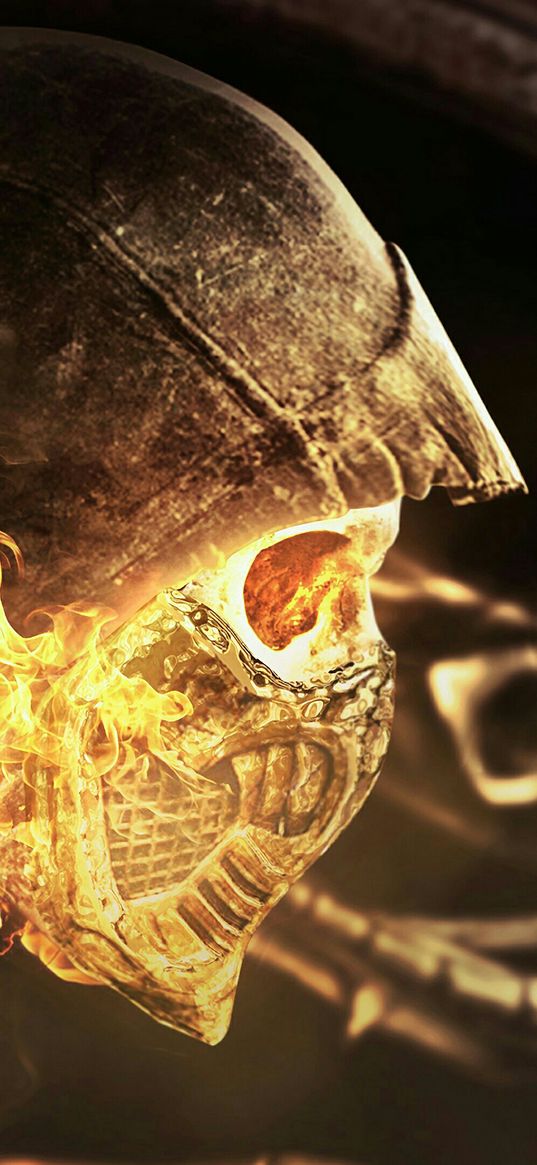 scorpion, mortal kombat, game, skull, mask, hood, ninja, fire, art