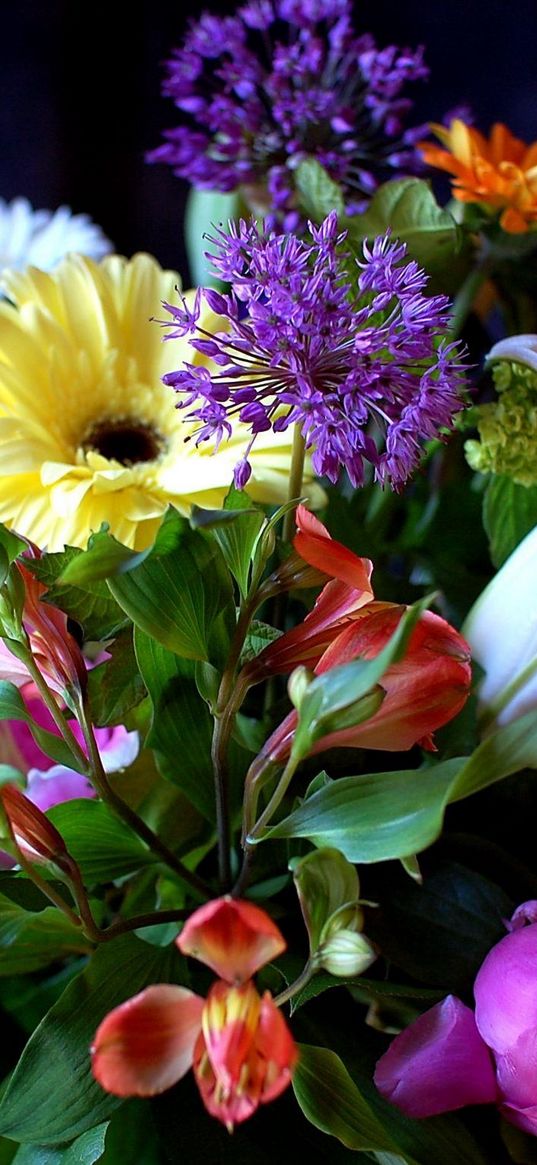 gerberas, lilies, flowers, bouquets, composition, greens