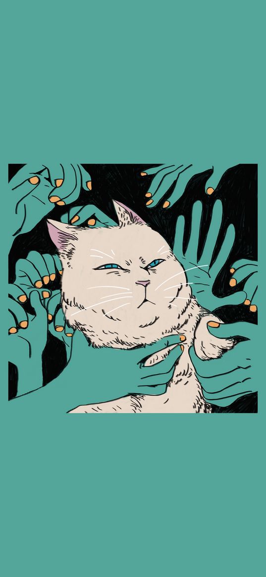 cat, animal, white, hands, turquoise background, art