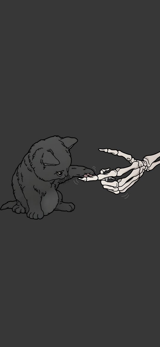 cat, kitten, animal, hand, skeleton, gray background, art