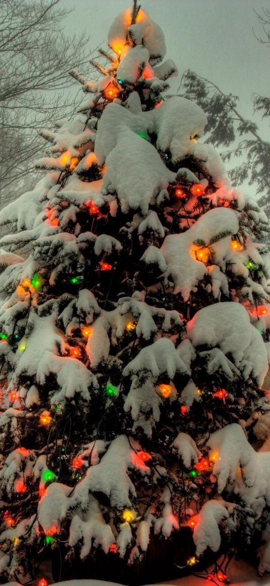 tree, garland, new year, christmas, trees, snow, winter, holiday