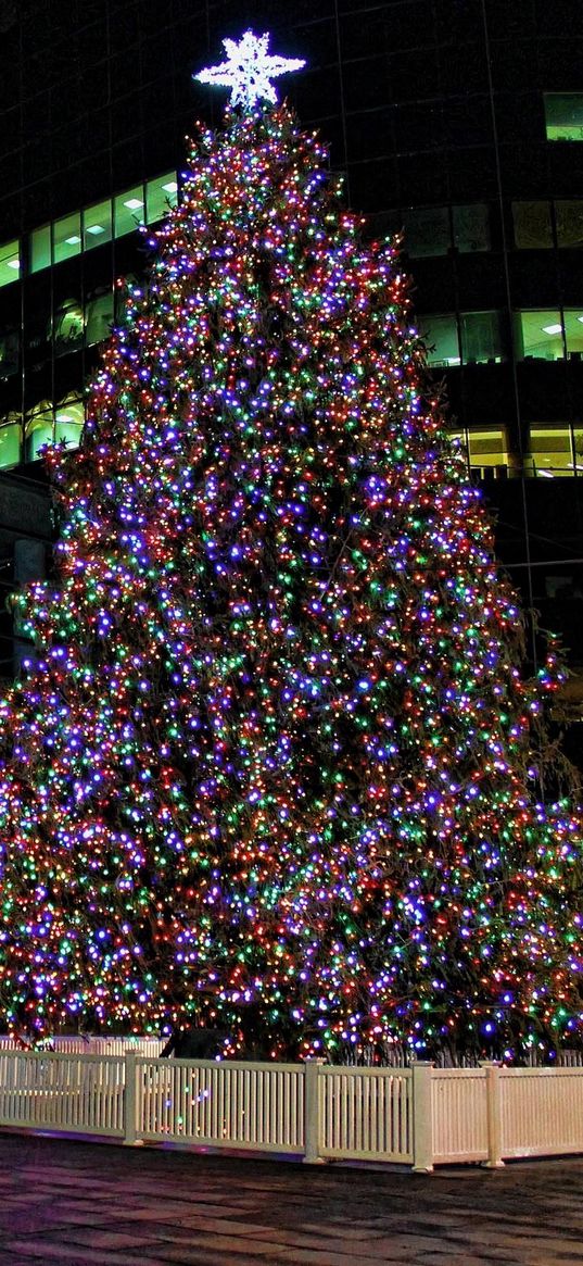 tree, christmas, garland, fencing, street, holiday