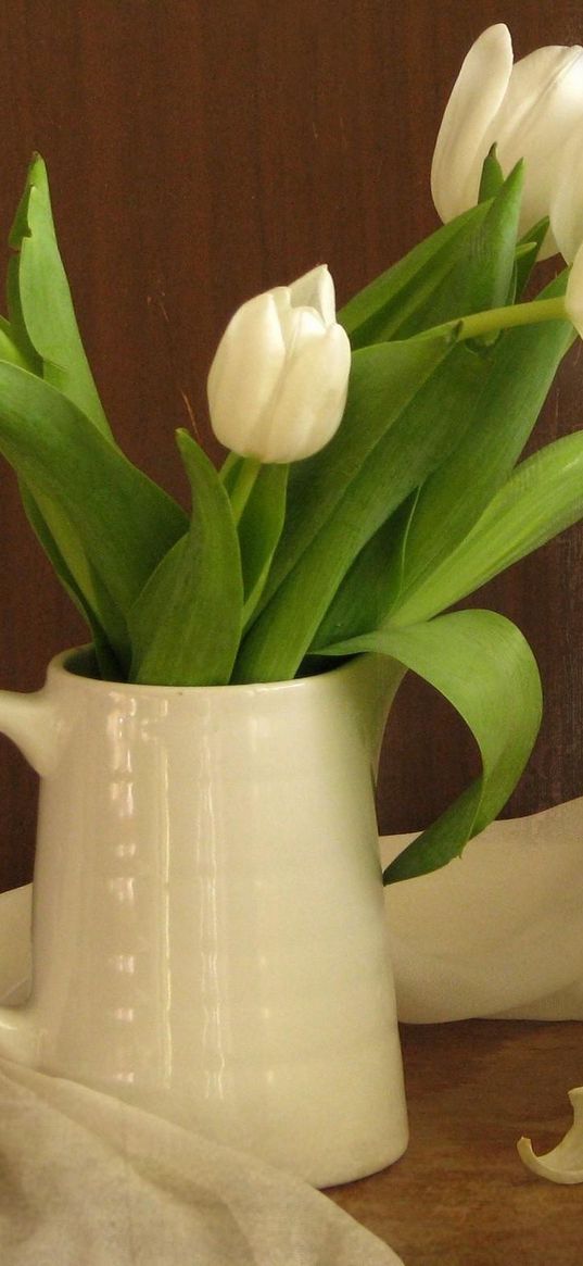 tulips, flowers, white, flower, pitcher, scarf, green