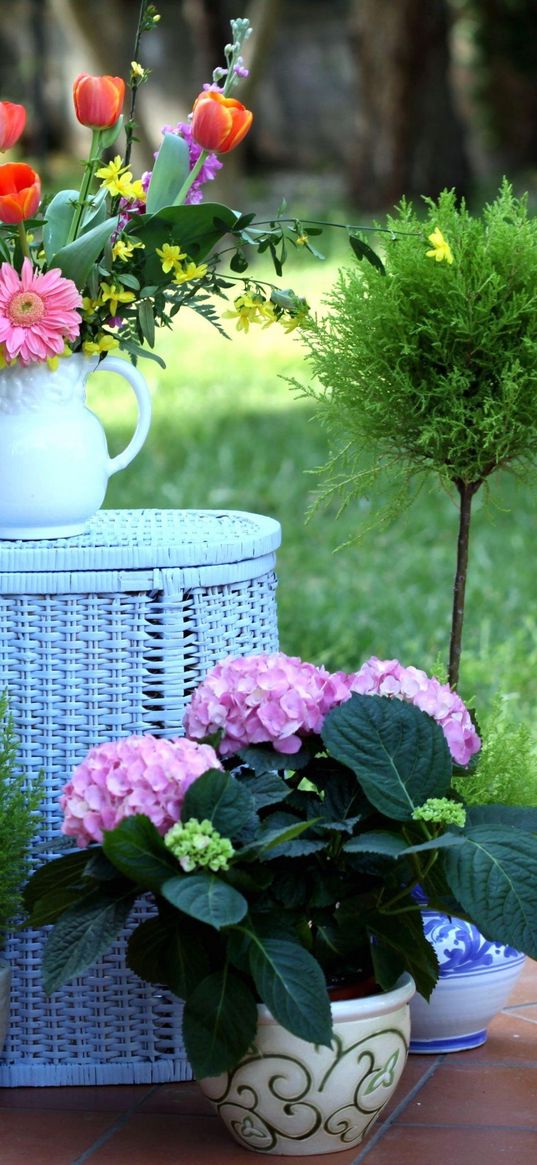 hydrangea, petunia, gillyflower, tulips, flowers, fir, baskets, pots