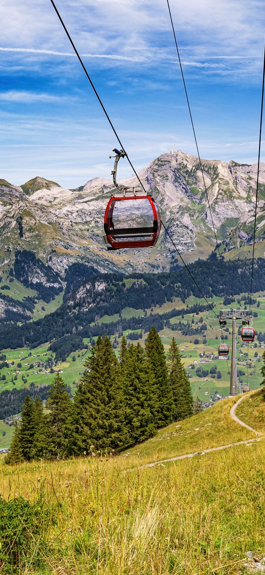 cable car, mountains, trees, landscape