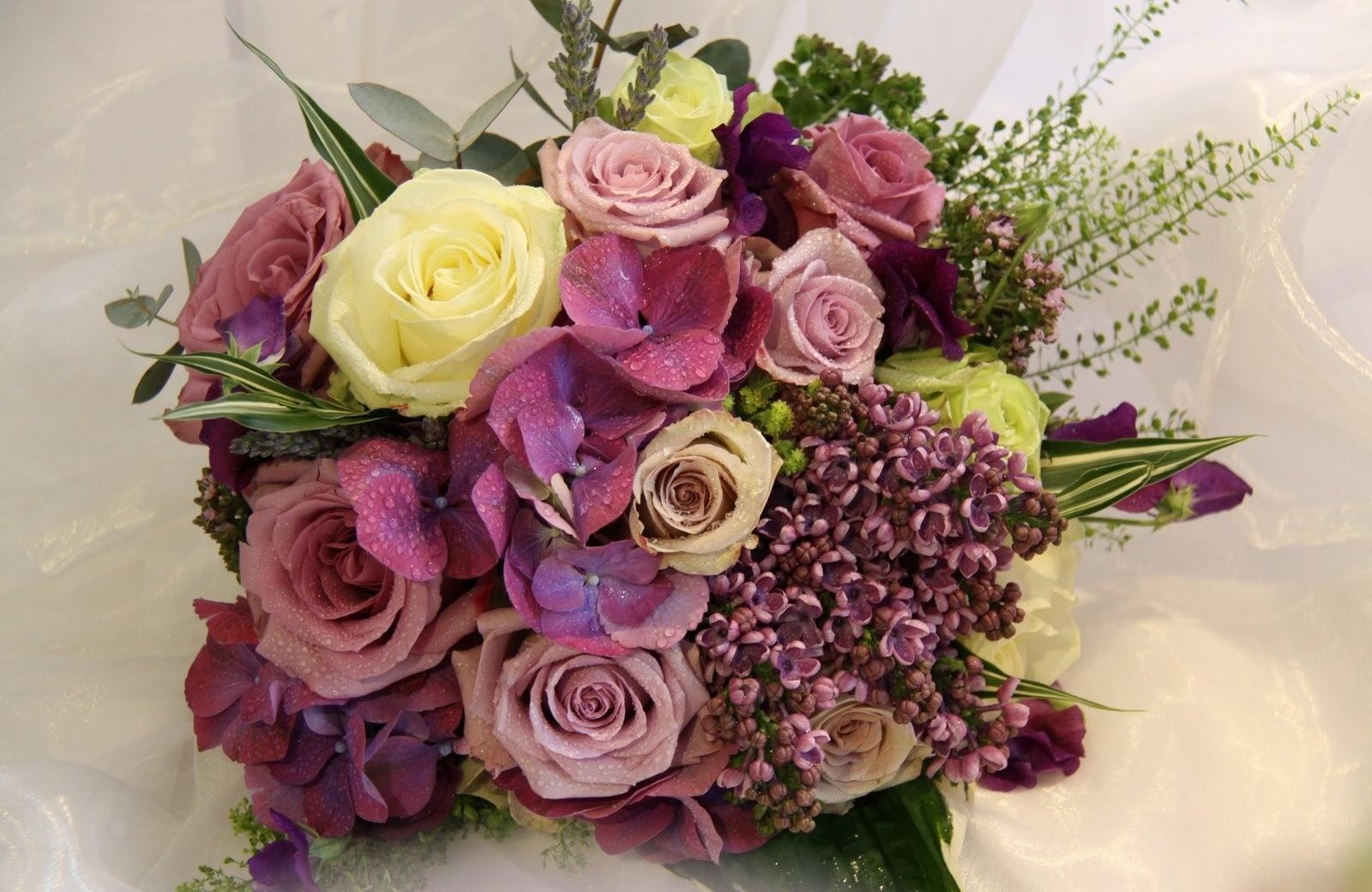 roses, lilacs, flowers, flower, song, drop, freshness, green