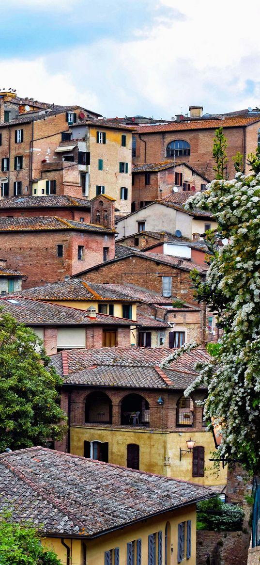 houses, buildings, roofs, tiles, trees