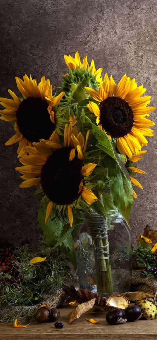 sunflowers, petals, bouquet, leaves