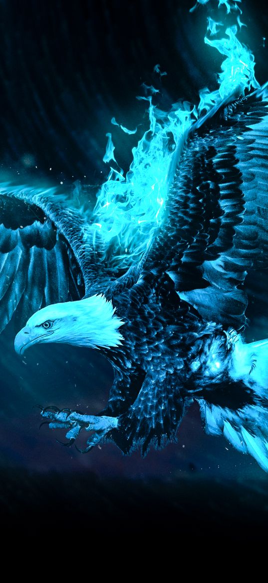 eagle, blue, fire, night, blue fire